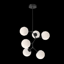 Hammerton CHB0092-VA-MB-WL-001-L3 - Gaia Modern Vine - 6pc