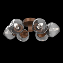 Hammerton CLB0095-01-BB-GS-L1 - Luna Flush Mount - 6pc
