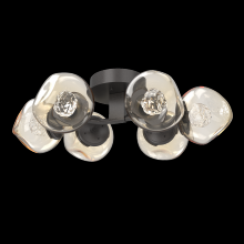 Hammerton CLB0095-01-GP-FA-L1 - Luna Flush Mount - 6pc
