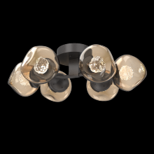Hammerton CLB0095-01-GP-FB-L1 - Luna Flush Mount - 6pc