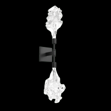 Hammerton IDB0059-02-NB-BC-L1 - Blossom Double Sconce