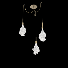 Hammerton SCB0059-03-GB-BC-C01-L3 - Blossom Round 3pc Swag Multi-Pendant